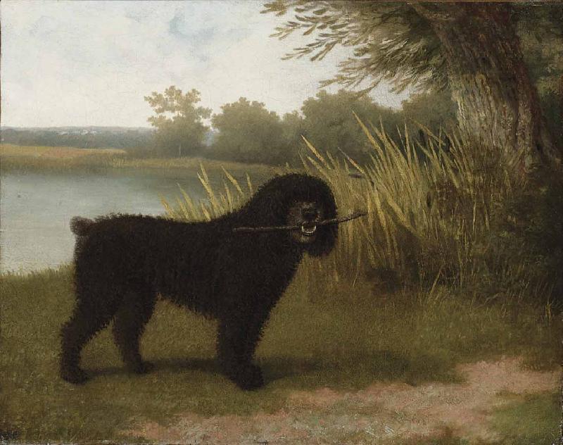 Jacques-Laurent Agasse A black water dog with a stick by a lake oil painting picture